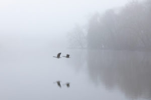 Traversée à l'aveugle #1