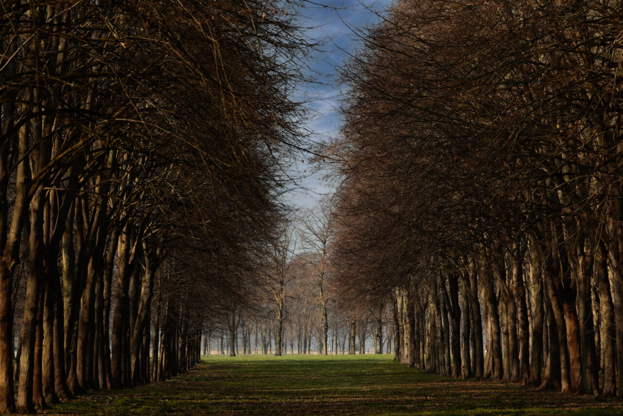 06-Au-creux-des-geants