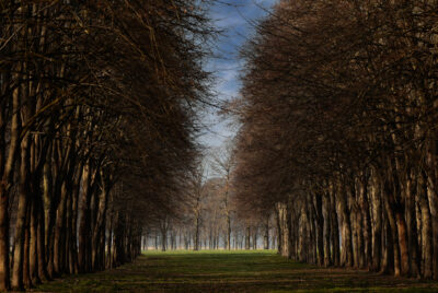 06-Au-creux-des-geants