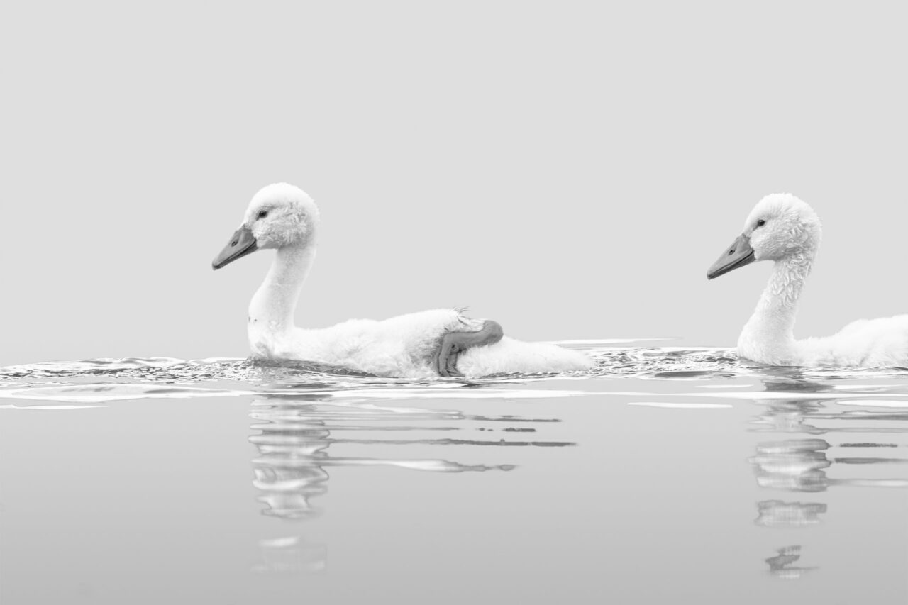 013-Mine-de-plomb-14