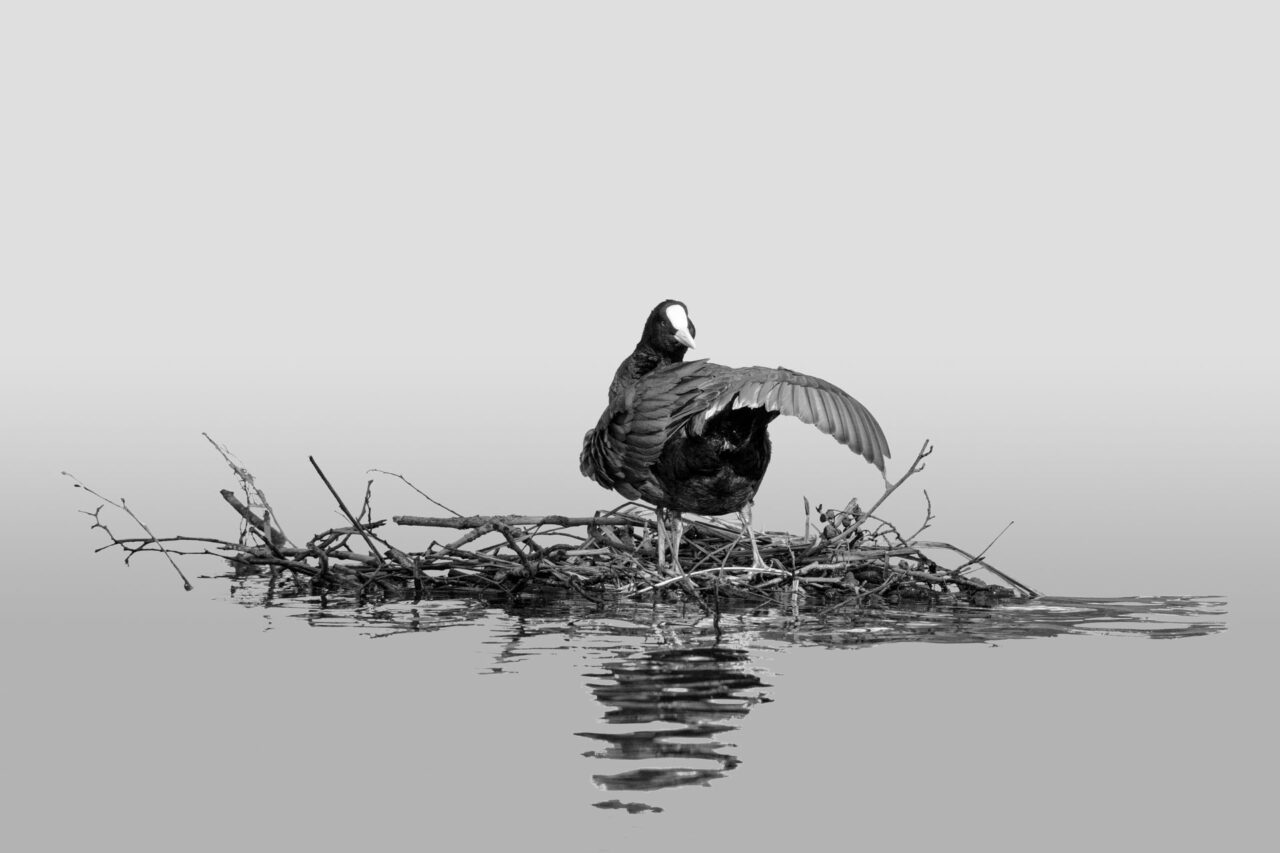 014-Mine-de-plomb-17