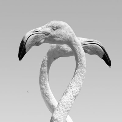 015-Mine-de-plomb-19