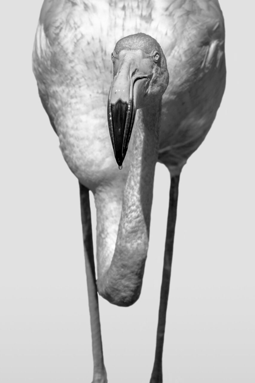 016-Mine-de-plomb-21