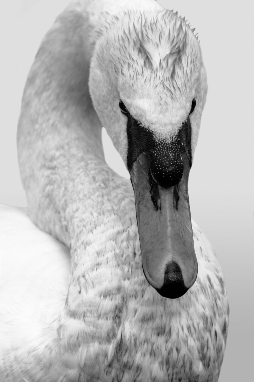 017-Mine-de-plomb-22