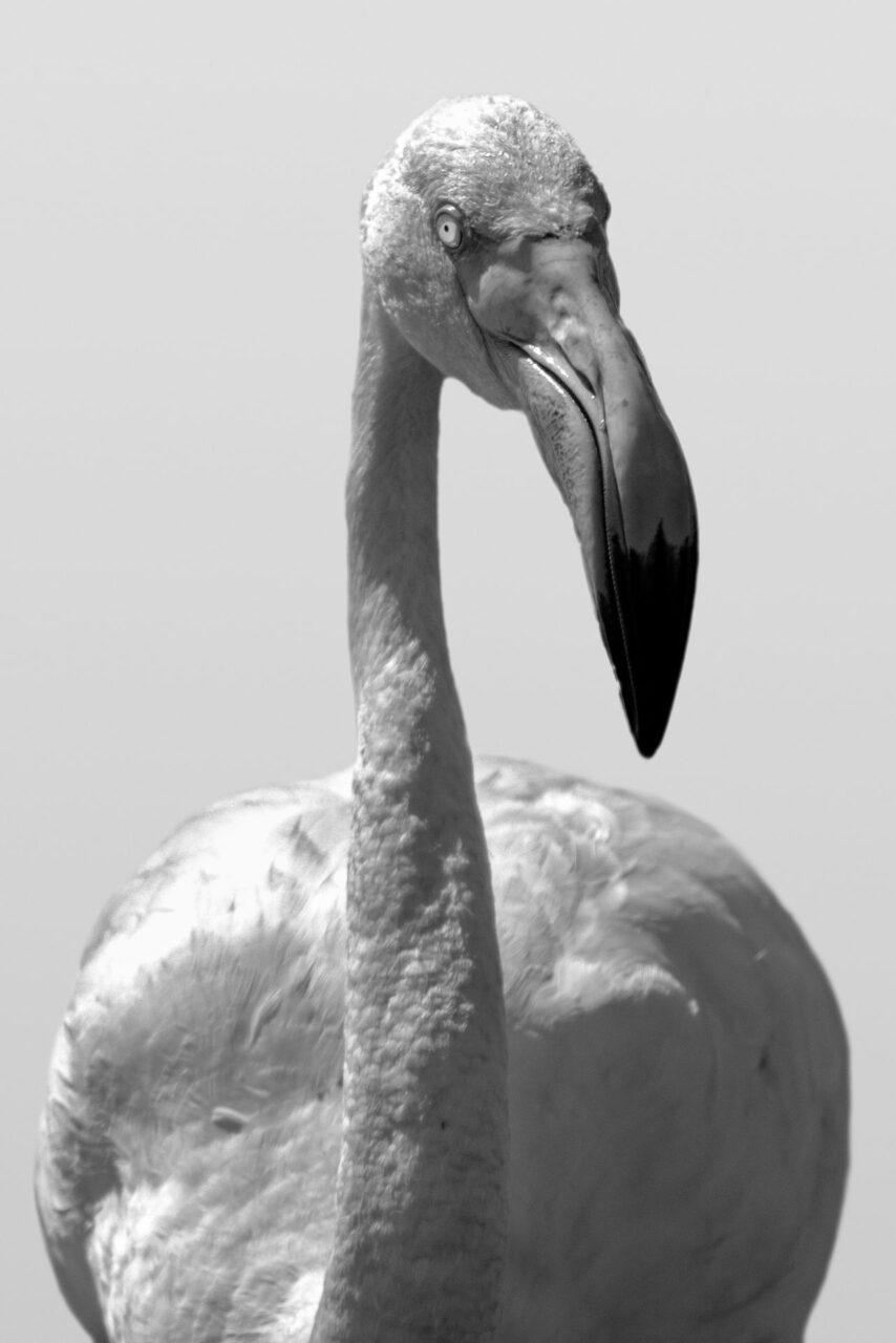 018-Mine-de-plomb-23