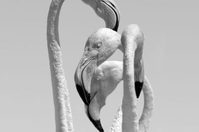 019-Mine-de-plomb-24