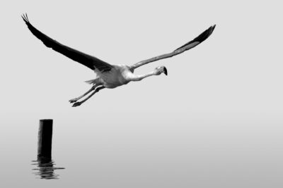 021-Mine-de-plomb-26