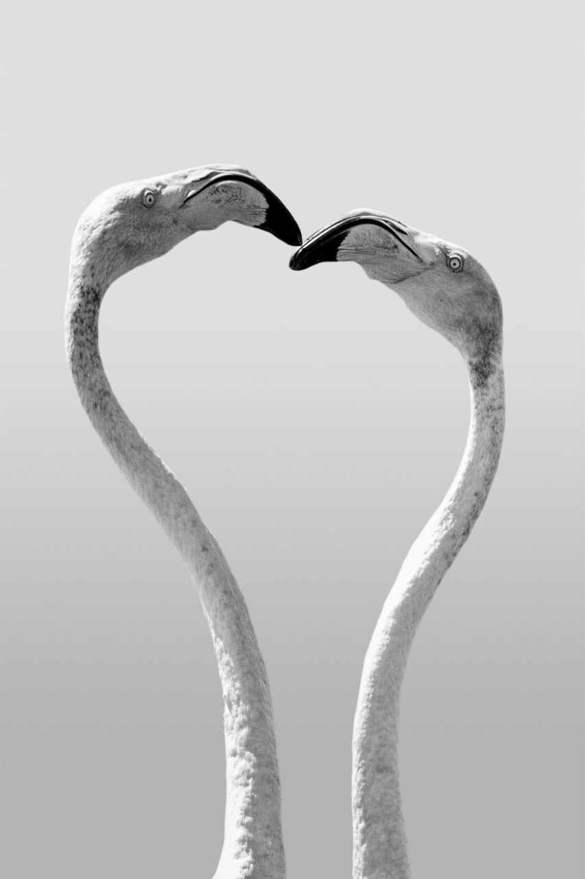 022-Mine-de-plomb-27