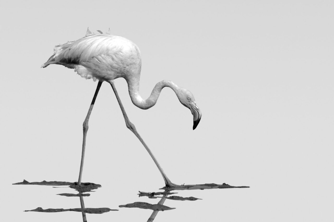 023-Mine-de-plomb-28