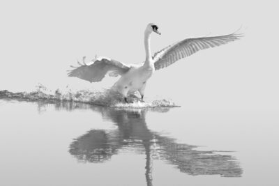 024-Mine-de-plomb-29