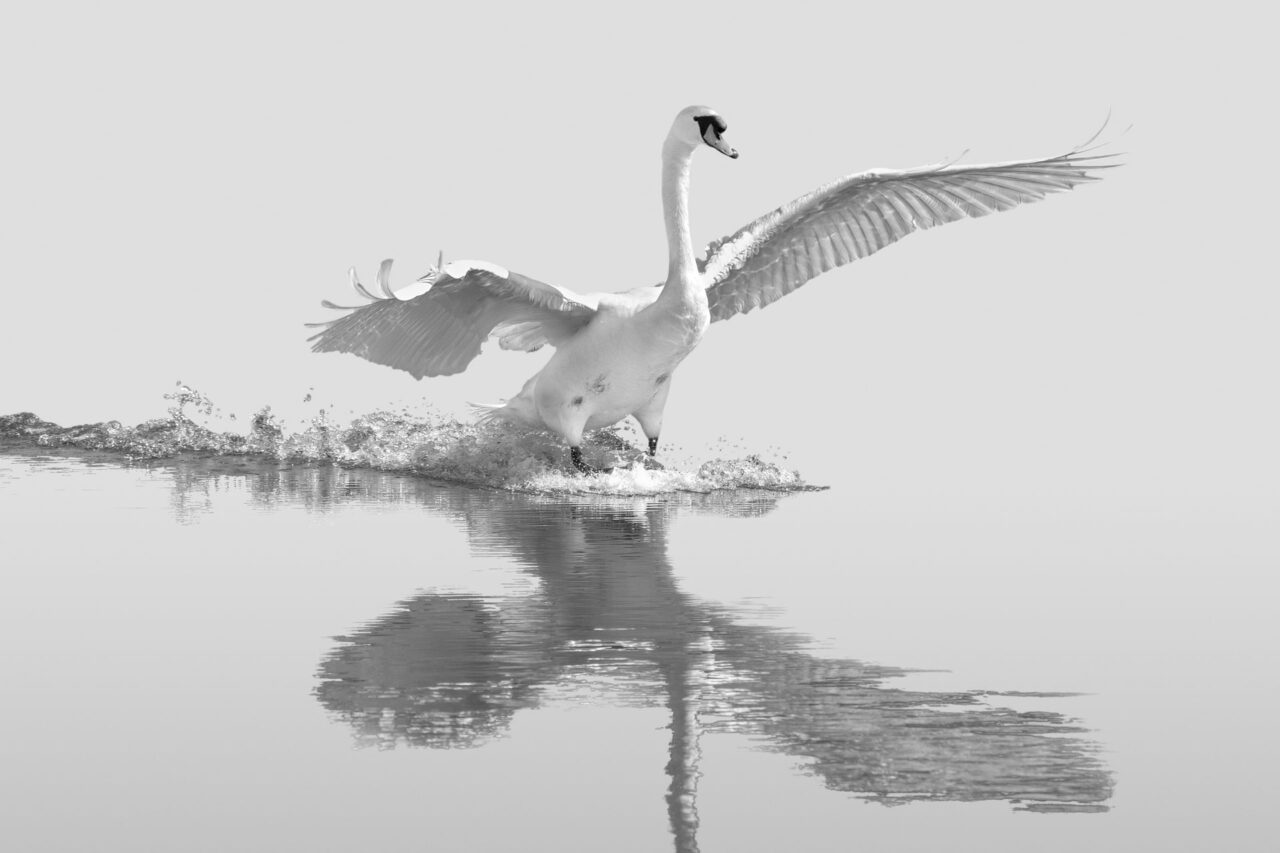 024-Mine-de-plomb-29