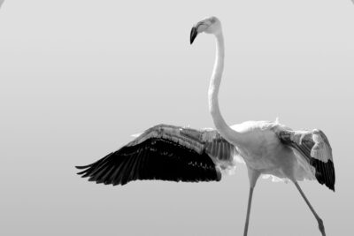 025-Mine-de-plomb-31