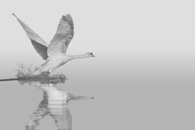 026-Mine-de-plomb-32