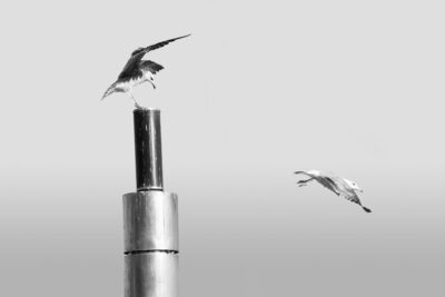 033-Mine-de-plomb-39