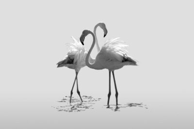 034-Mine-de-plomb-40