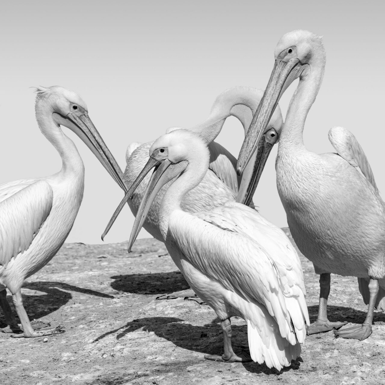 036-Mine-de-plomb-42